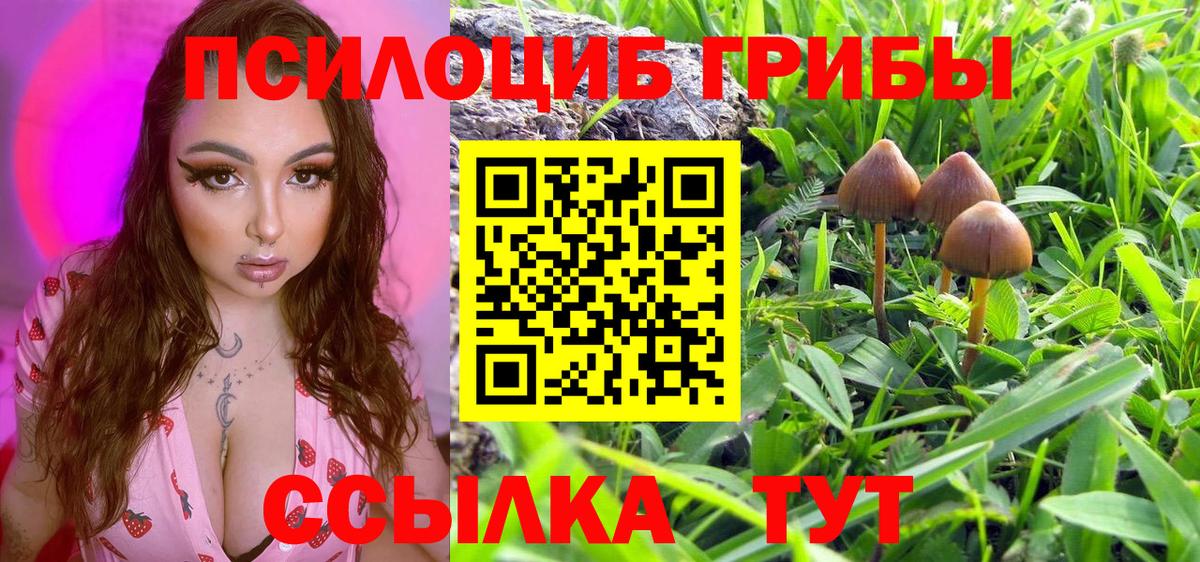 Псилоцибиновые грибы мухоморы  Вход с VPN  Тулун 