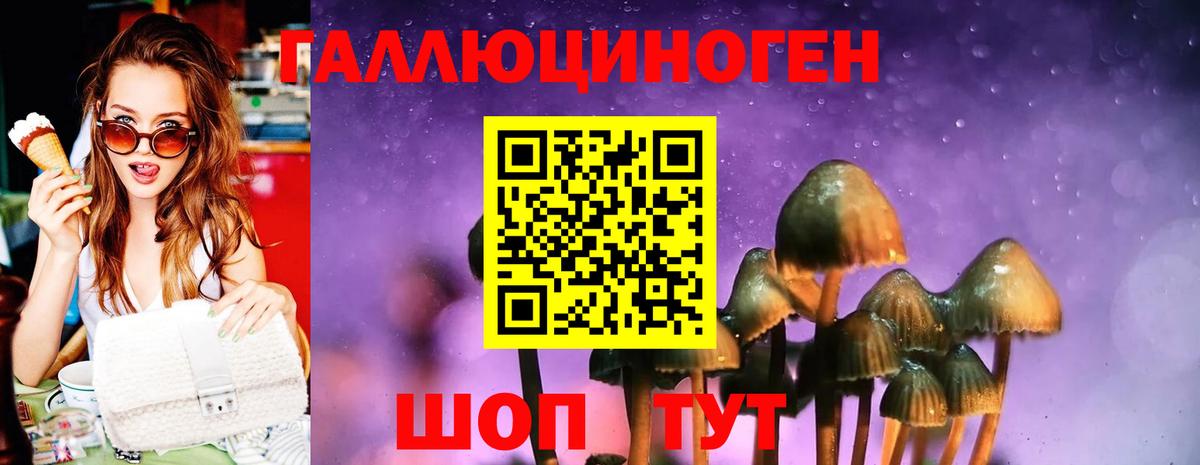 Галлюциногенные грибы MAGIC MUSHROOMS Тулун